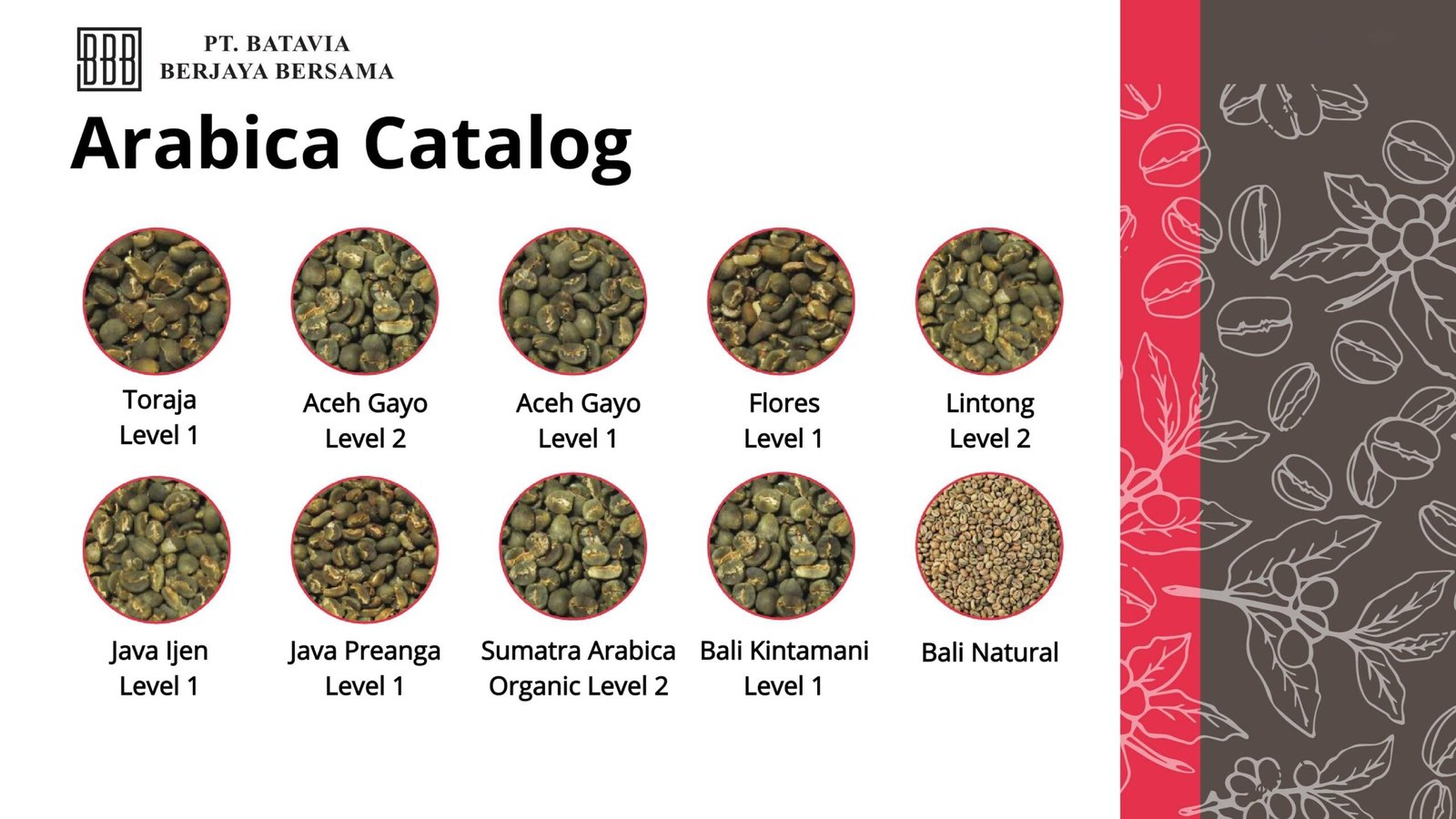 Arabica catalog-1