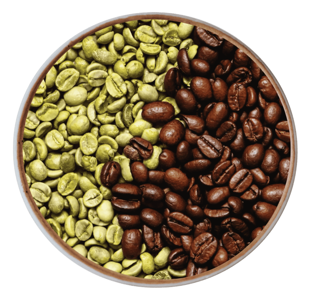 Green and roasted coffee bean processing plants