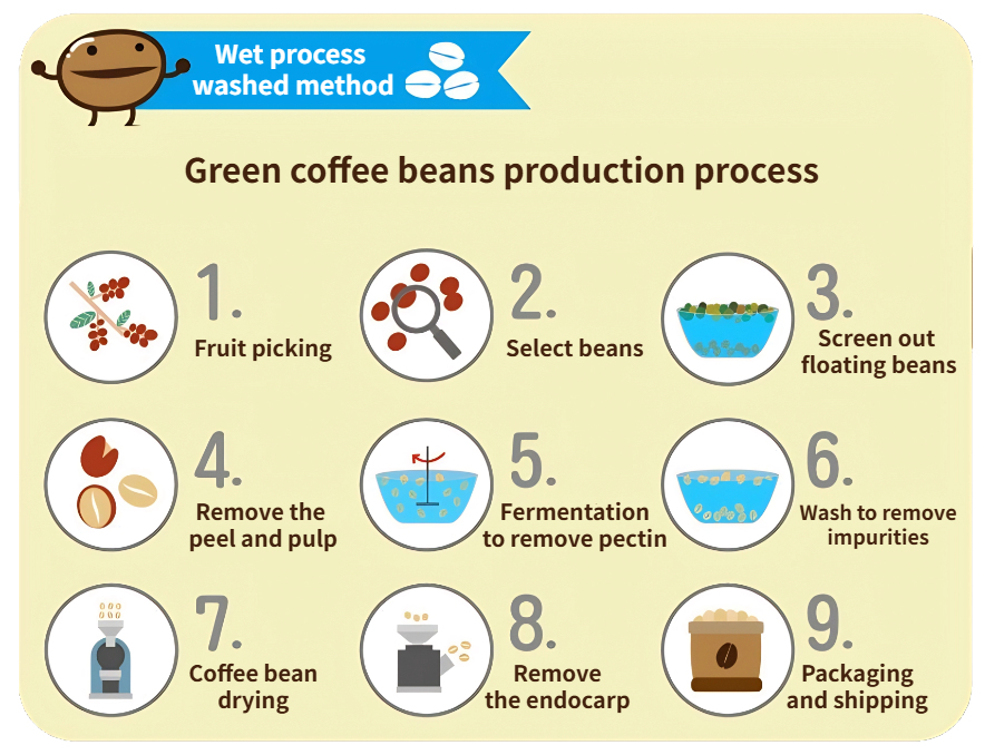 Green coffee beans production process