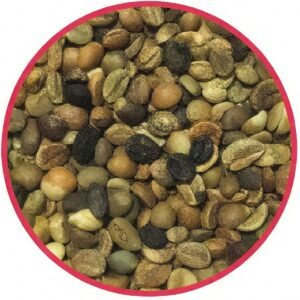 Indonesian Lampung Grade 4 Robusta Coffee Beans